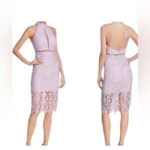 Bardot Gemma Halter Lace Sheath Dress